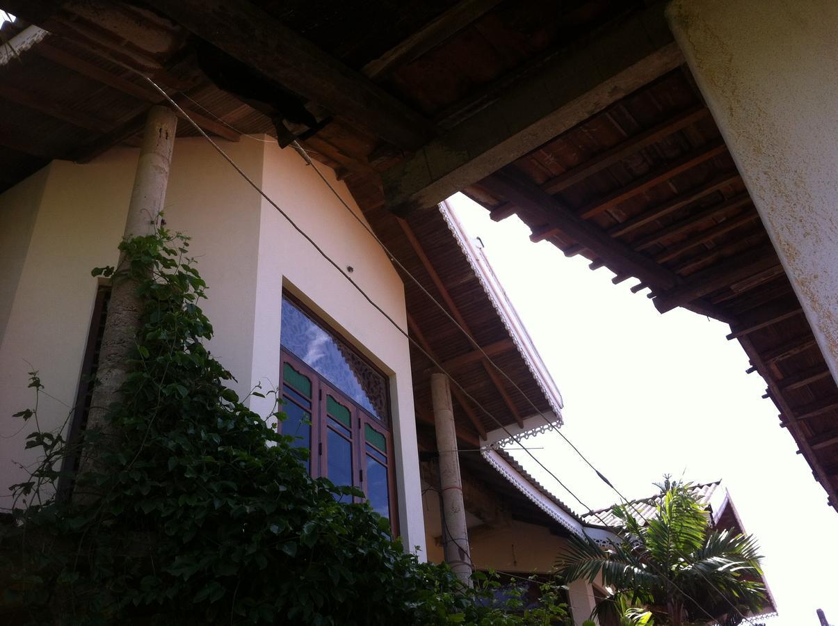 Bee Nest